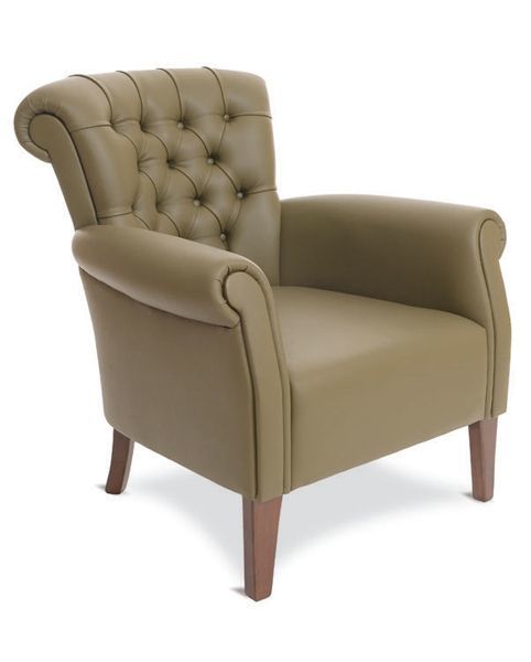 Lizard Tekli Kanepe Berjer