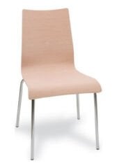 Monoblok Cilalı Sandalye