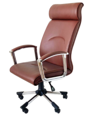 Konsey Yönetici Koltuğu