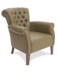 Lizard Tekli Kanepe Berjer