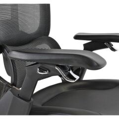 Palma Yönetici Koltuğu